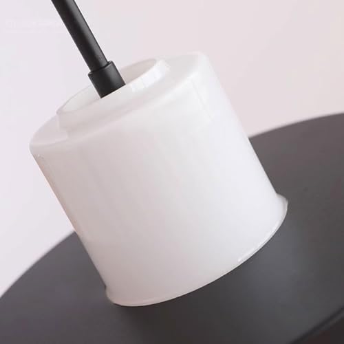 Layered Glass Pendant Light with Adjustable Height