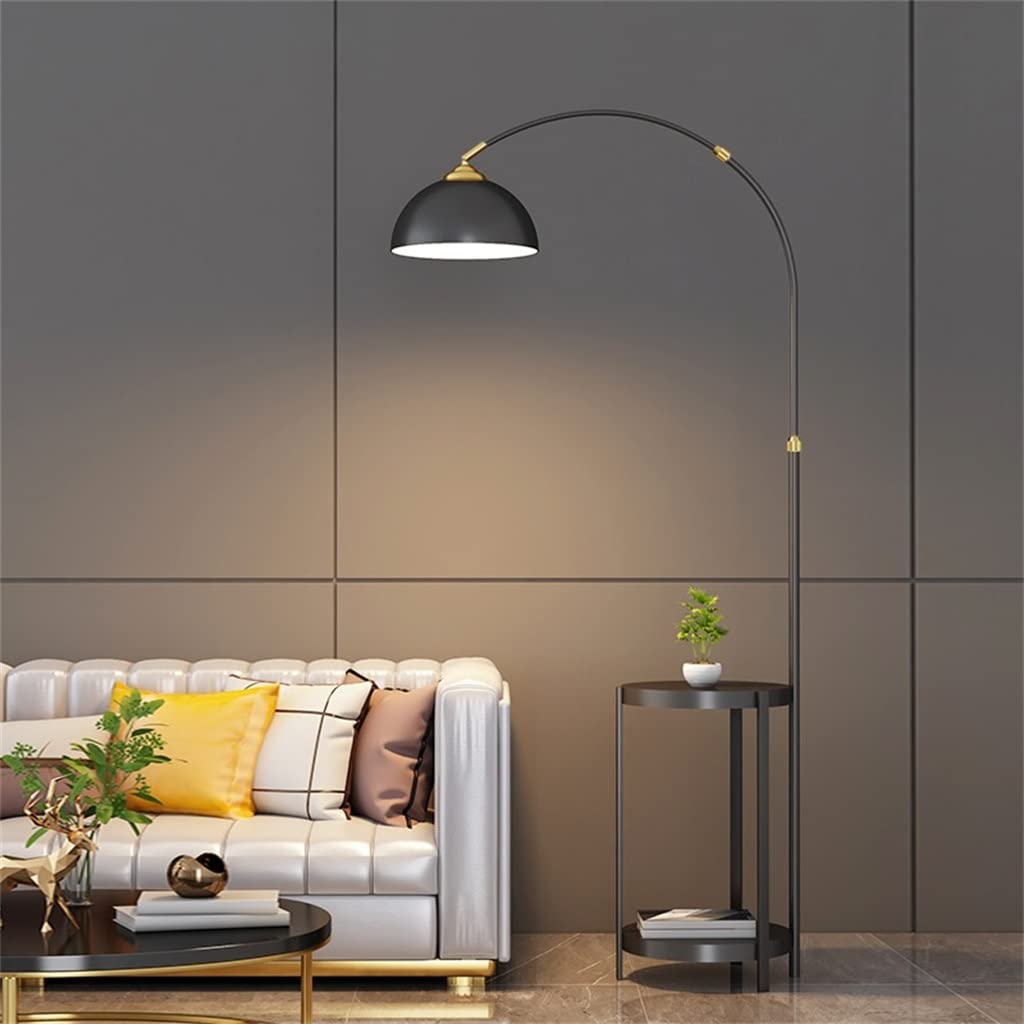 Decorative Floor Lamp for Living Room or Bedroom