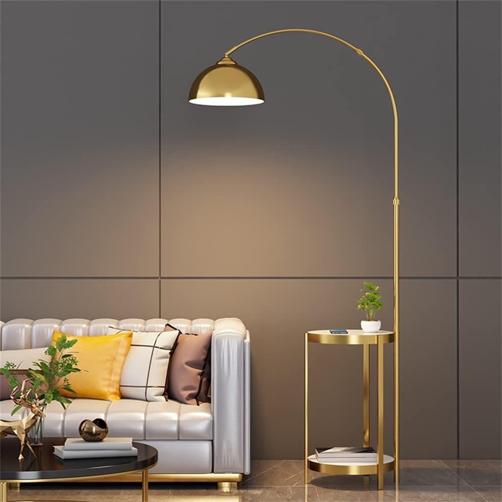Decorative Floor Lamp for Living Room or Bedroom