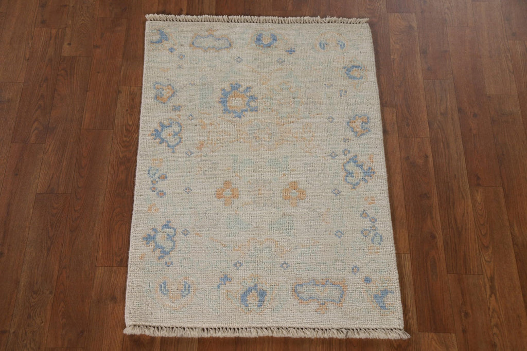 Hand-Knotted Transitional Wool Rug in Multiple Sizes