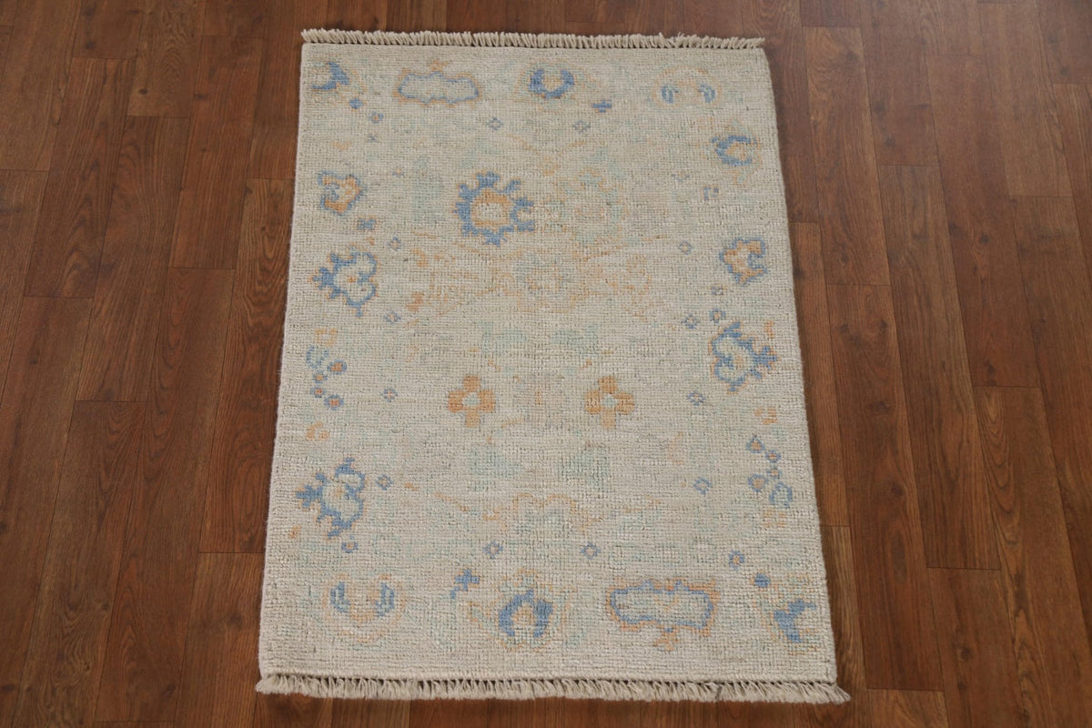 Hand-Knotted Transitional Wool Rug in Multiple Sizes