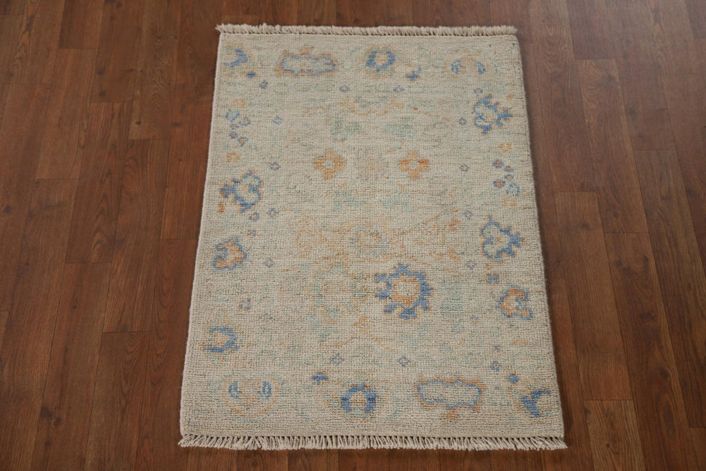 Hand-Knotted Transitional Wool Rug in Multiple Sizes