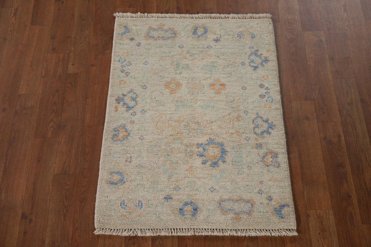 Hand-Knotted Transitional Wool Rug in Multiple Sizes