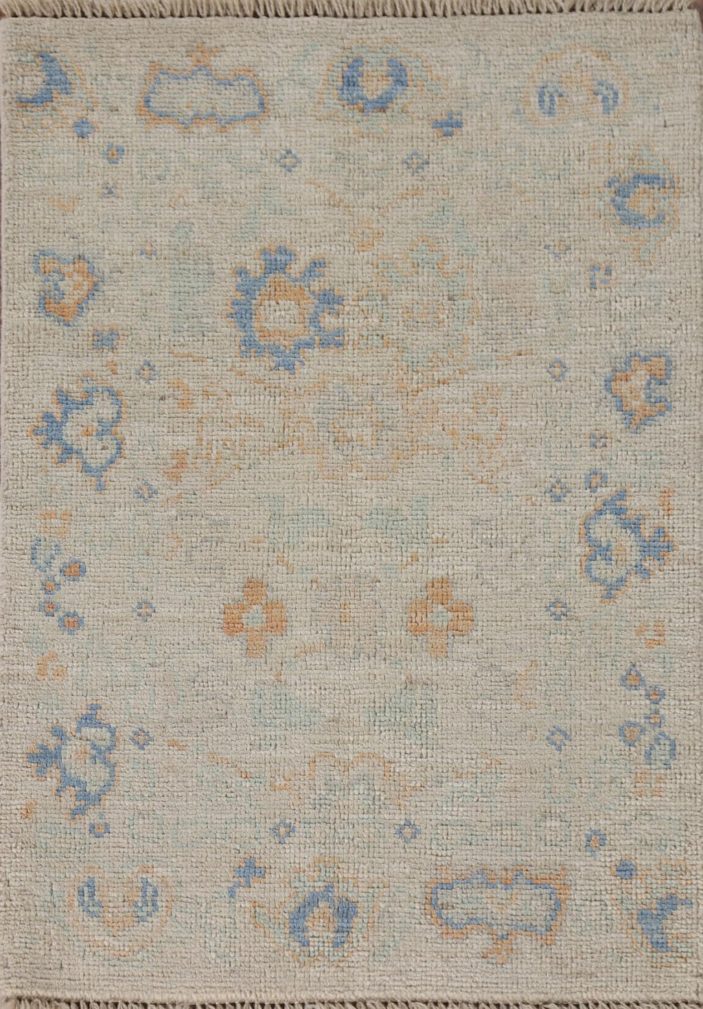 Hand-Knotted Transitional Wool Rug in Multiple Sizes